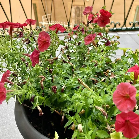 Oltre Il Blu La Spezia