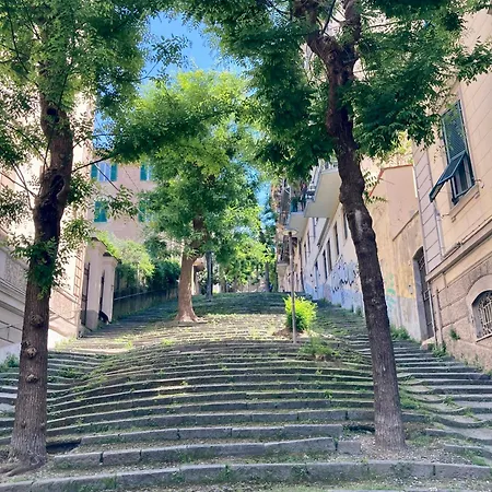 Πανσιόν Oltre Il Blu Λα Σπέτσια