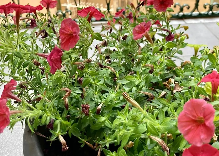 Oltre Il Blu La Spezia